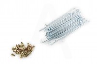 Спицы колеса Альфа, Дельта (36шт, d=3mm h=160mm)