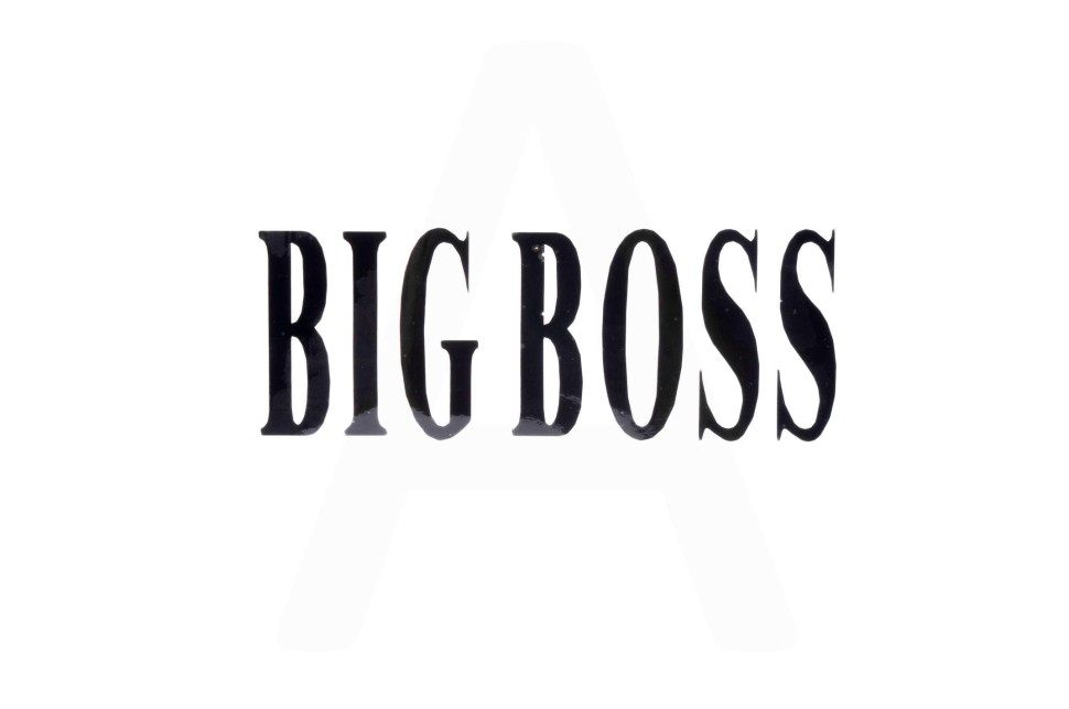 Наклейка декор BIG BOSS (18x7.5см)