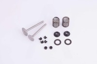 Клапаны (в сборе) двигателя 178F (6 л.с.)