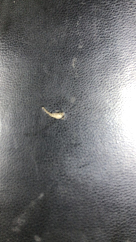 Сиденье в сборе с багажником Honda Tact AF-24 Сиденье в сборе с багажником Honda Tact AF-24