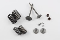 Клапаны (пара, в сборе) 4T CG125 (L-93.5mm)