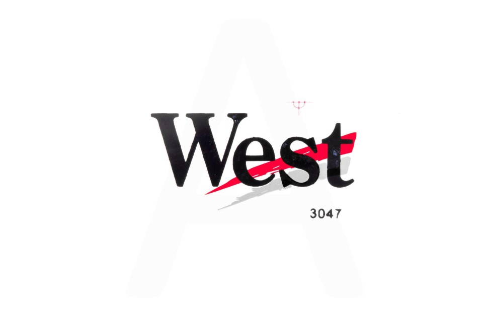 Наклейка логотип WEST 10x5см серые